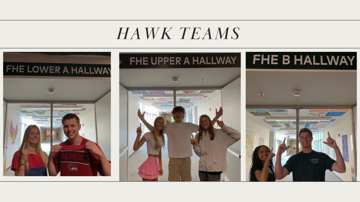 Hawk Teams