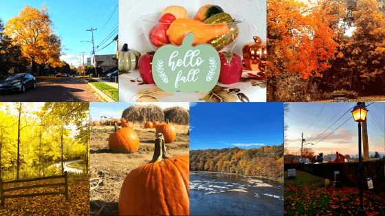 Fall Activities To Do This Season